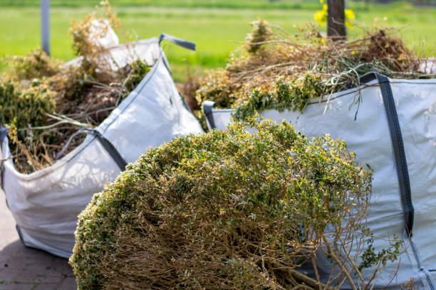 Best Office Junk Removal  in Waimea, HI
